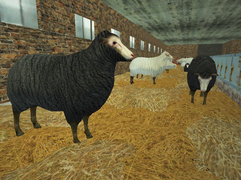 sheep-static-v1-0_2