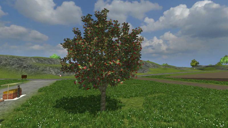 ros-fruit-and-berries-v2-1_1