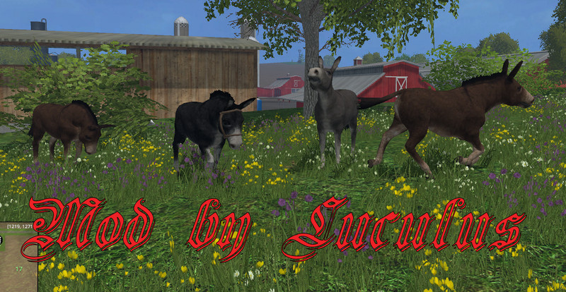 Ass-for-FS-2015-V-1.1