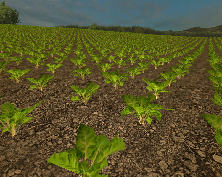 Mangold-Beet-Texture-Pack-V-1.0-for-FS-15-4