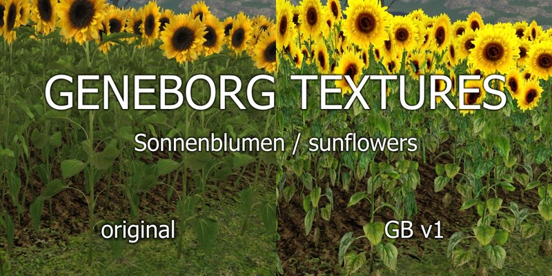 Sunflowers-Textures-V-1-2