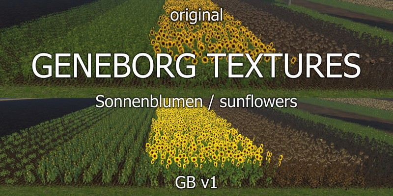 Sunflowers-Textures-V-1-5