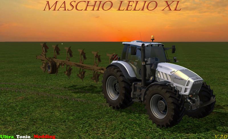 maschio-lelio-6