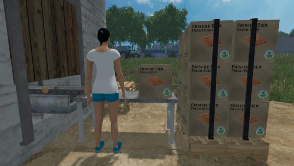 egg-laying-station-v1-1-platzierbar_1