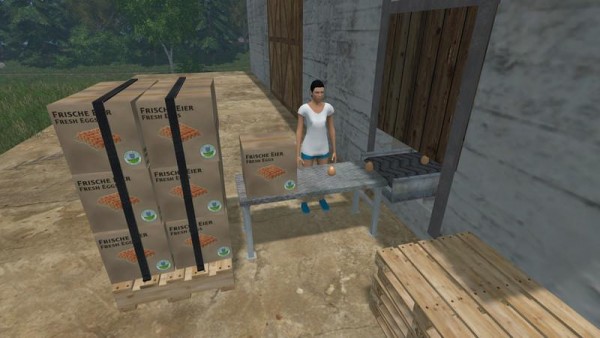 egg-laying-station-v1-1-platzierbar_2