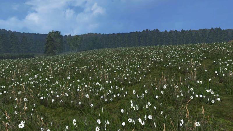 6307-grass-texture-v1-0_1