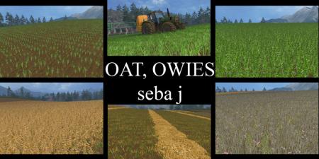 1457896264_oat-texture