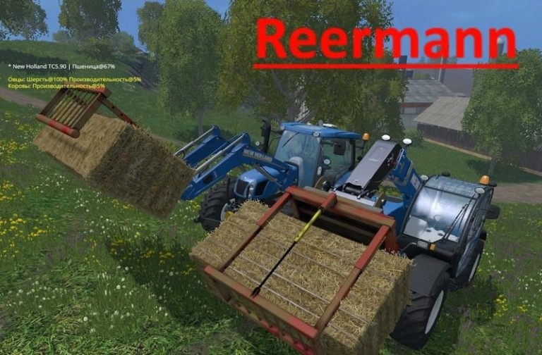 1459358252_reermann-quader-ballen-zange-9281-768x504