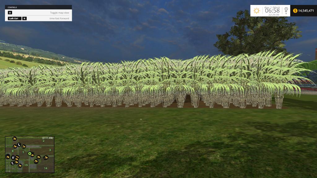 sugarcane_1.png