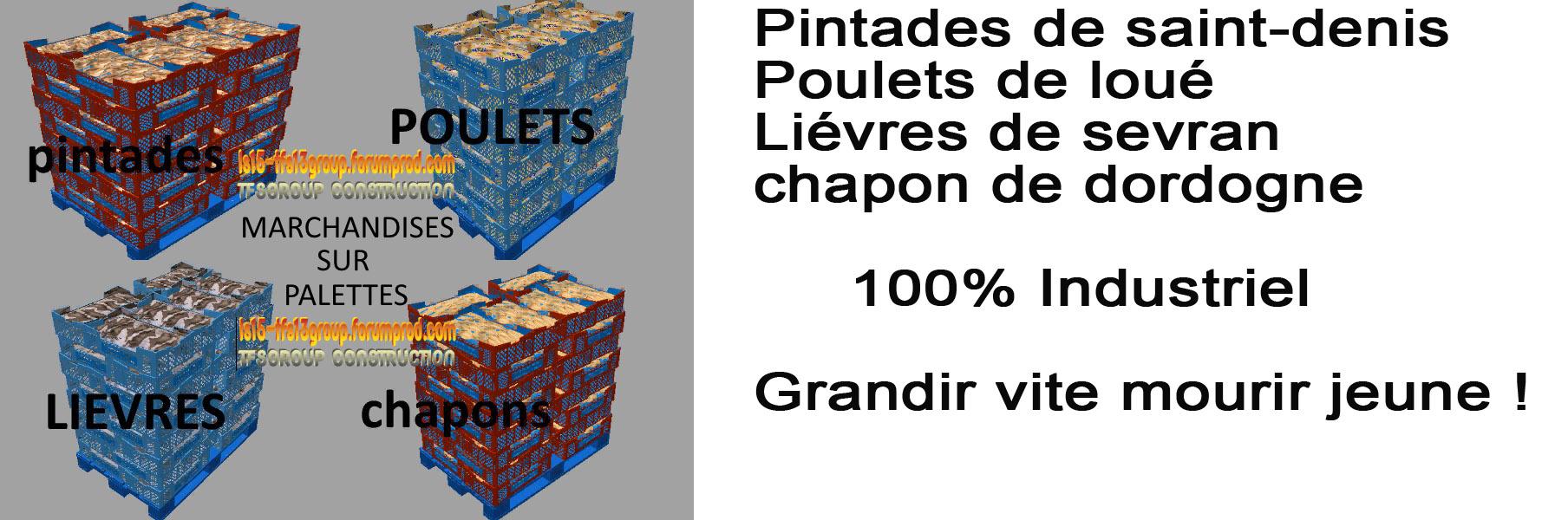 tfsg-palettes-grandir-vite-mourir-jeune_1