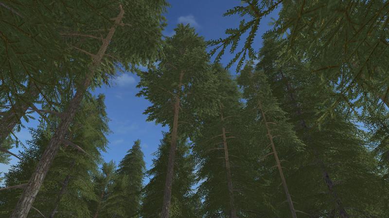 placeable-pine-standard-set-v1_2