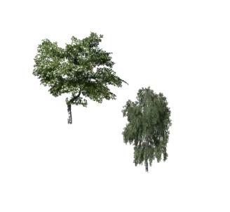 two-placeable-trees-v1-0_1
