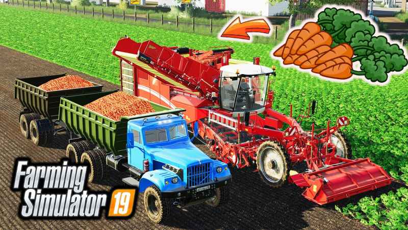 fs19-how-to-grow-and-harvest-carrots_1